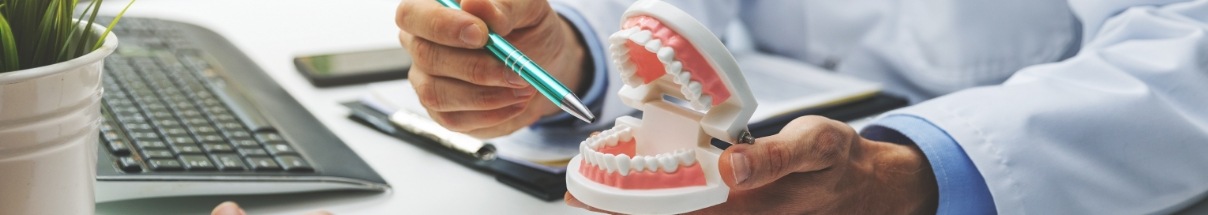 Dentist showing a patient a model of the teeth during preventive dentistry visit